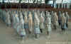 terracotta_warriors_restora.jpg (58317 bytes)